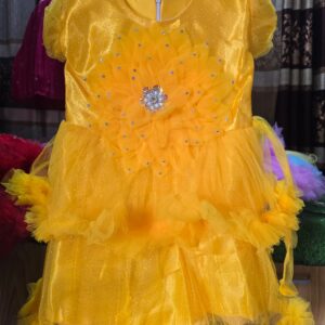 Baby Party Dress